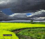 Рапсовое поле