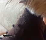 Screenshot_20230921_165459_Gallery