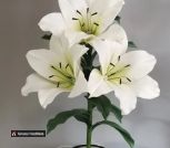 Screenshot_20240216_144512