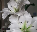 Screenshot_20240216_144746