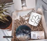 изображение_viber_2024-02-26_14-28-09-005