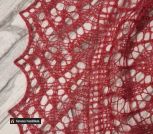 photo_2024-02-25_19-54-45