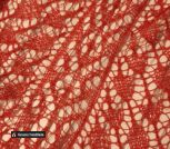 photo_2024-02-25_19-54-47