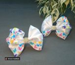 IMG_20240405_110726_817