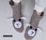 IMG_20240302_143154_446