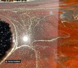 photo_4_2024-05-15_21-07-09