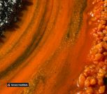 photo_7_2024-05-15_21-07-09