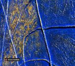 photo_2024-05-24_16-14-08