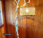 AirBrush_20240724161342