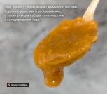 Фото имбирьМонтажная область 1 копия 2