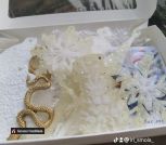 inbound8726029408319292631