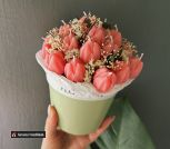 4F70D17D-A49C-48C1-82D0-99C0F30F7DA2