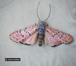 inbound5540114282006356191