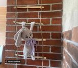 photo_2_2025-03-21_14-58-19