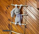 photo_5_2025-03-21_14-58-19