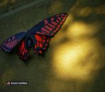 IMG-d46f9ae5c89de112a3674dc52cb36001-V