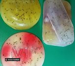 inbound2033626541003979708