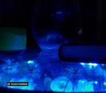 2lQ8w9ZWLnwdBO9CV2TRTVTdM4erN0xjYVlUgGM_3tRerkB1RAQKsLX7mztsXiJ2o7uEAZMYPIbomj8de9r5-uel