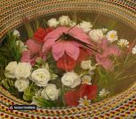 AGdonVih2e5dmja0yth9KdQTT7lXKm7INYLvk8KOit4rYfaQ6gcf7mgMvHxdoyTVL9zkEGuUvxvEmyGCHaglZigr