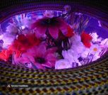 xZe7D7osgd8OQzv8_B8VqBrZ7rO4vyB_7JOq4xy6Fj48AM8R4Hkqd7ed6gzhx0e45aCWZWrKdQUTPzVPjy1_77Rw