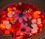 Z5hPVibuACFOgod4egEpX9MUYLcfNckoVCwHsFCQhcMNkX3cr4rV6LR1lch1DXQxoCQEVzaAl-isvfULPASzYWZu