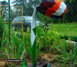 IMG-08f09abb54d4f50220a0dd505a333c00-V