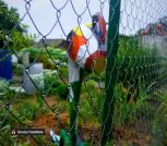 IMG-4f89d36584d27b184f6f7b9de112a974-V