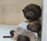 IMG_20250807_110135_edit_476971547690288