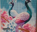 IMG_2025_11_16_18_53_03_3448366628480665191249