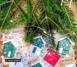 IMG_20251113_145139~3