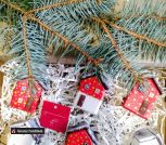 IMG_20251113_144737~3