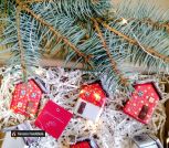 IMG_20251113_144829~3