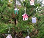 IMG_20251113_121206~3