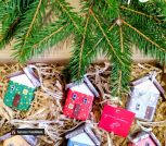 IMG_20251113_144542~3