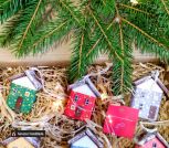 IMG_20251113_144625~3