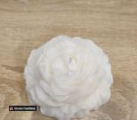 photo_5354979097857166575_y