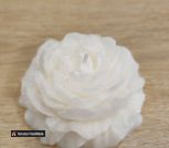 photo_5357230897670852412_y