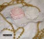 photo_5426996087274280176_y