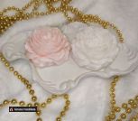 photo_5433767914965241085_y