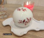 photo_5192705380759309709_y