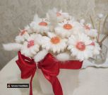 photo_5197467322669535239_y