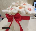 photo_5197467322669535240_y