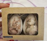 photo_5231468336779039542_y