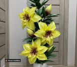 IMG_20260224_193412_934