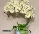 IMG_20260224_193412_251