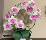 IMG_20260224_193412_456