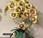 IMG_20260224_193412_492