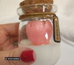 photo_5260395525633152663_y