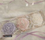 photo_5260395525633152670_y