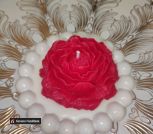 photo_5260395525633152647_y